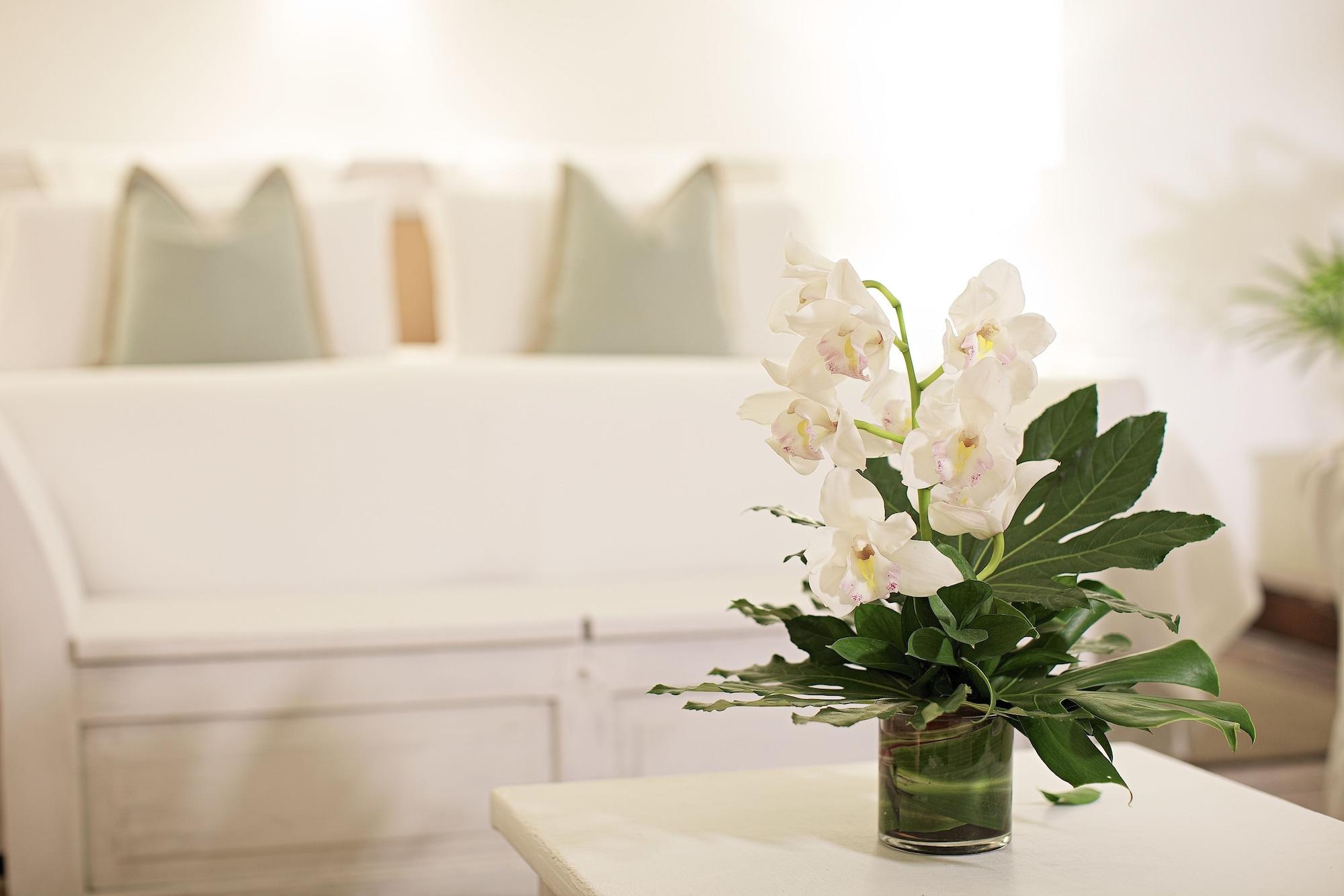 Casa Belle Boutique Hotel Cartagena Екстериор снимка